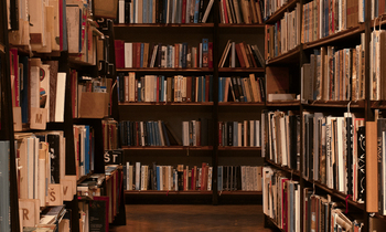 poster - ČEŠTINA NA CESTĚ K VYHYNULÝM JAZYKŮM? / PREMIÉRA