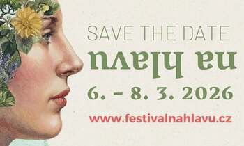 poster - NITERO PRO FESTIVAL NA HLAVU / 6. 3. V GALAXII